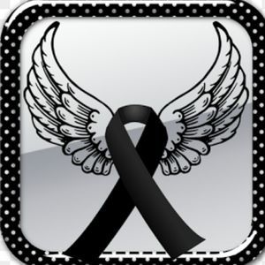 Meet your Posher, Bibi